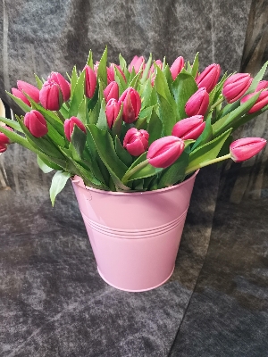 Pink Bucket of tulips