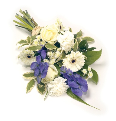 Mixed Sheaf  White and Blue