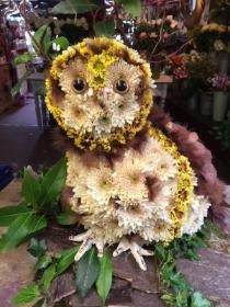 Owl funeral tribute